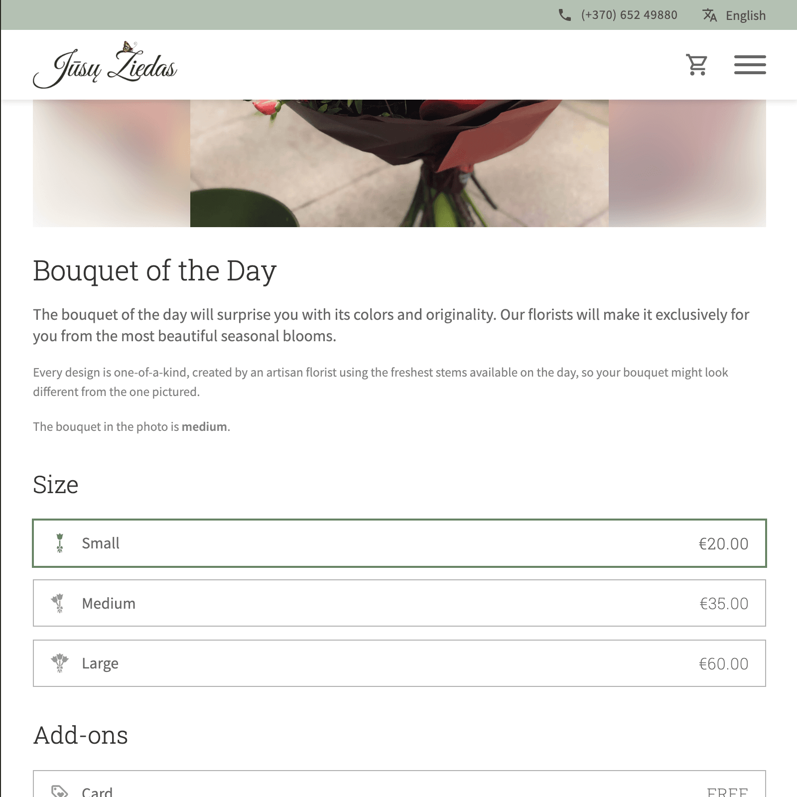 Desktop screenshot of the Online Store